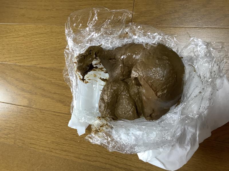 出品者名-写真-1