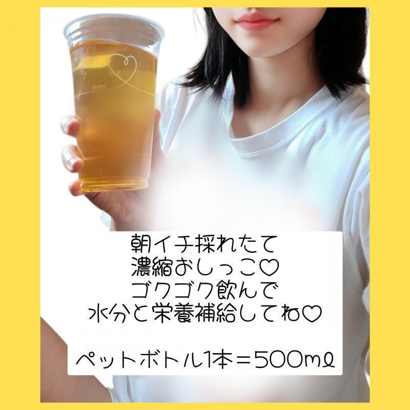 出品者名-写真