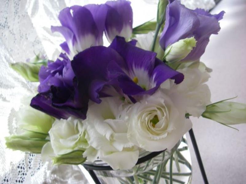 出品者名-写真-1