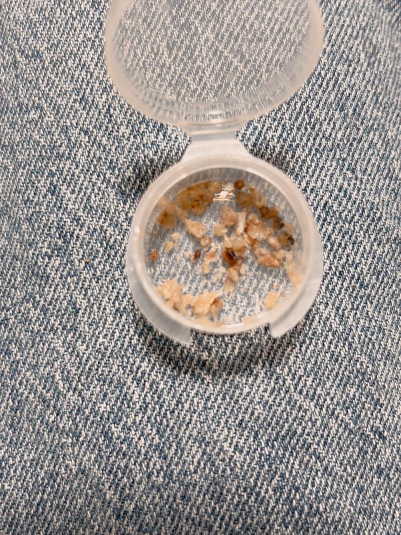 出品者名-写真-1
