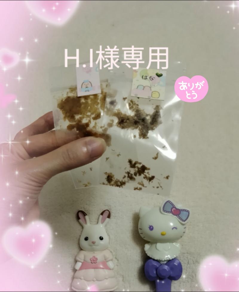 出品者名-写真
