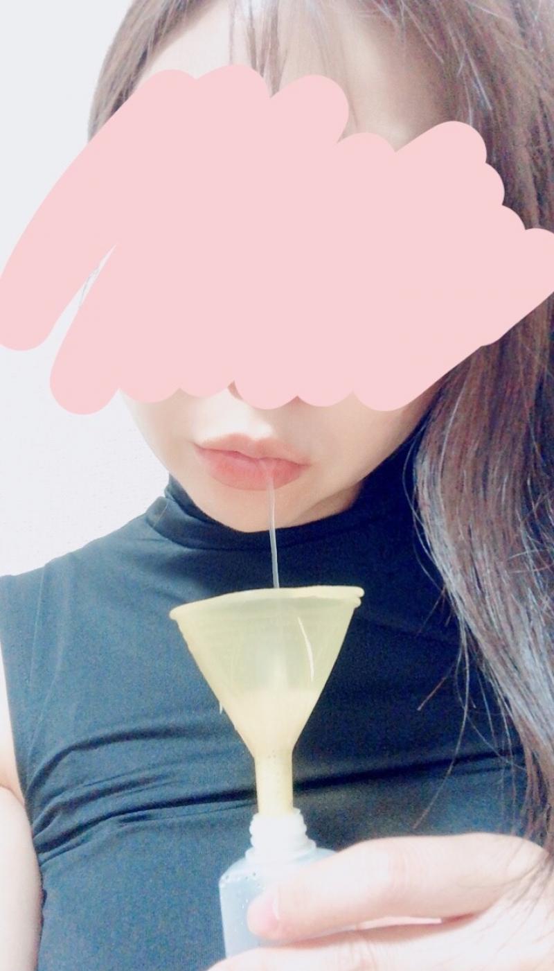 出品者名-写真