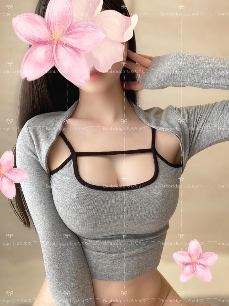 出品者名-写真