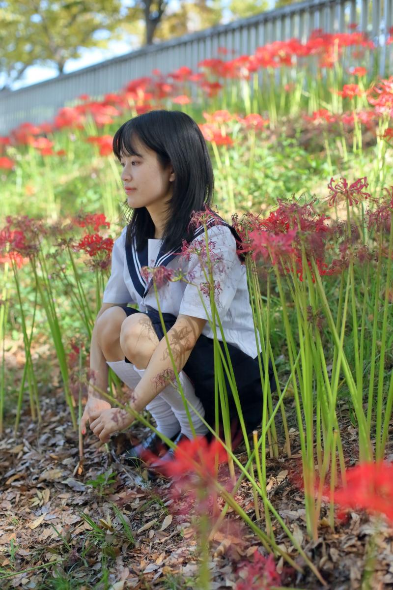 出品者名-写真-1