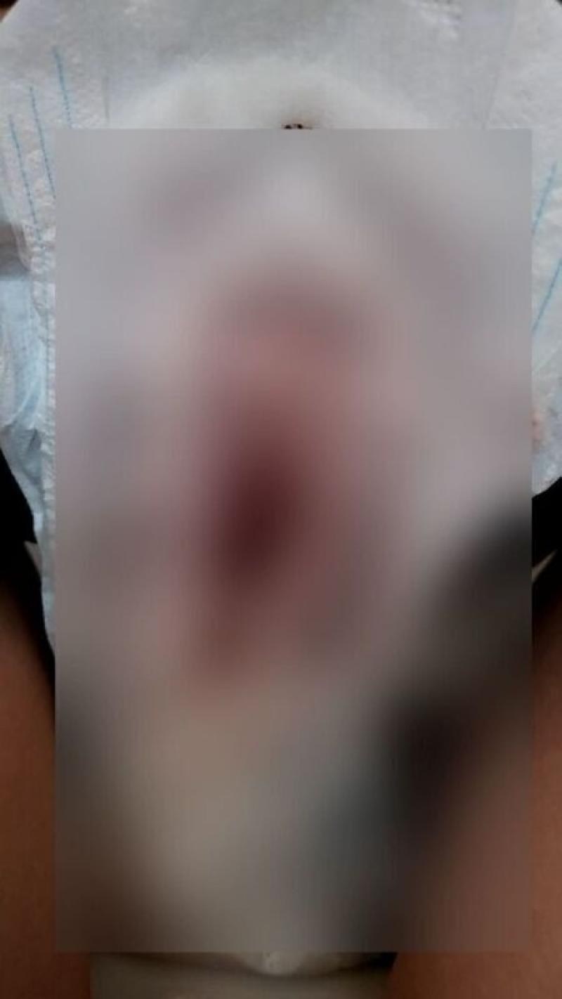 出品者名-写真-1