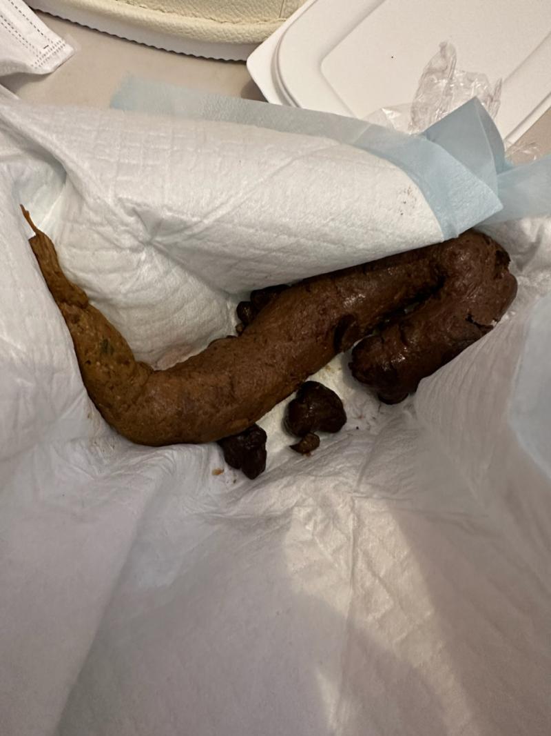 出品者名-写真-1