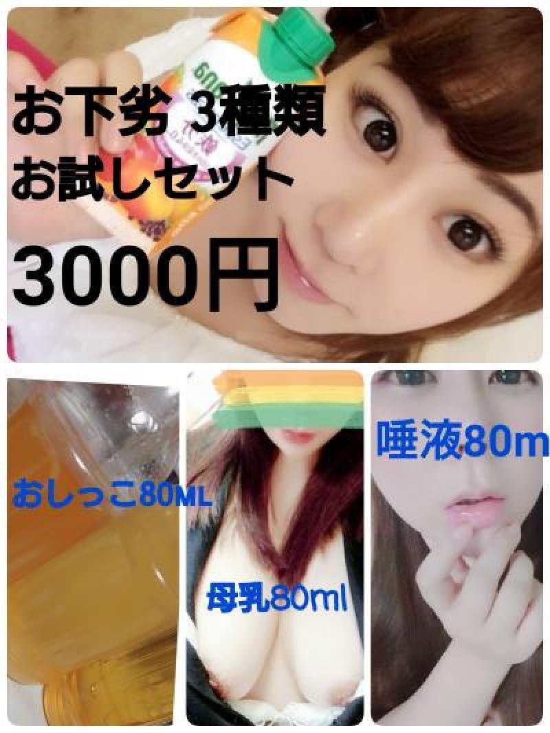 出品者名-写真