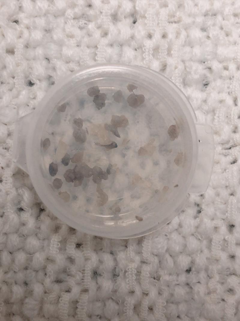 出品者名-写真-1