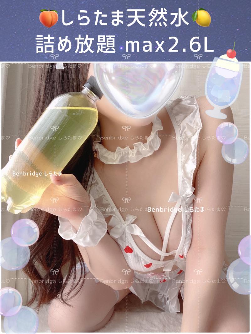 出品者名-写真