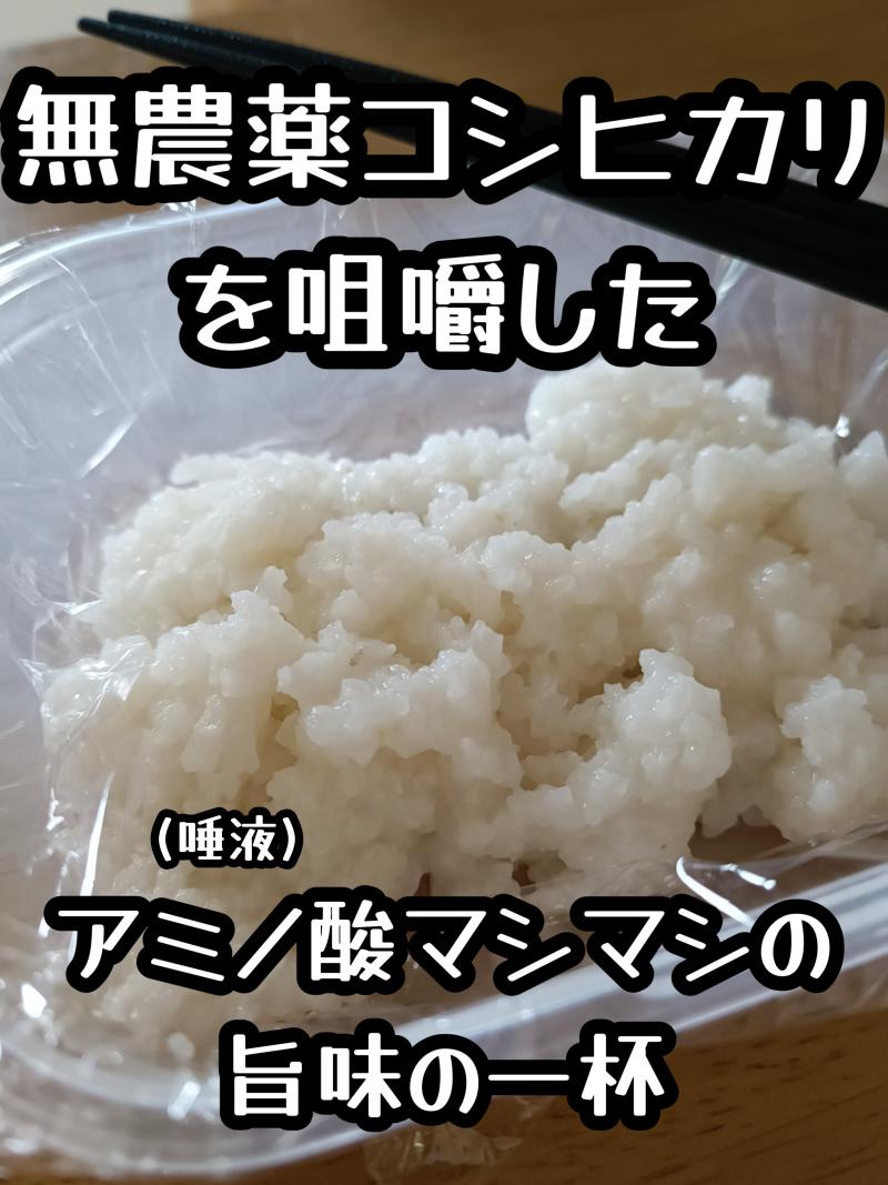 出品者名-写真-1