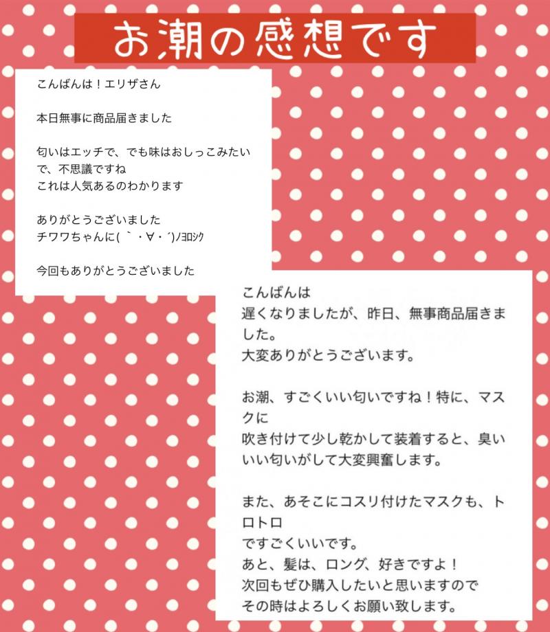 出品者名-写真-1