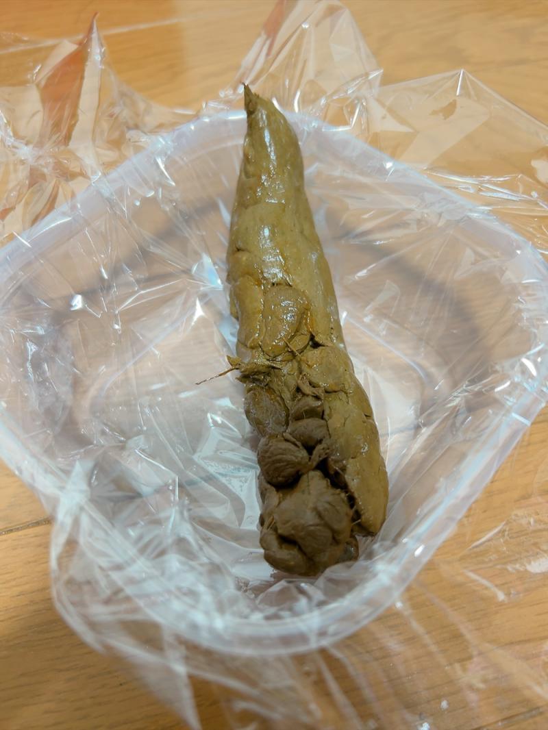 出品者名-写真-1