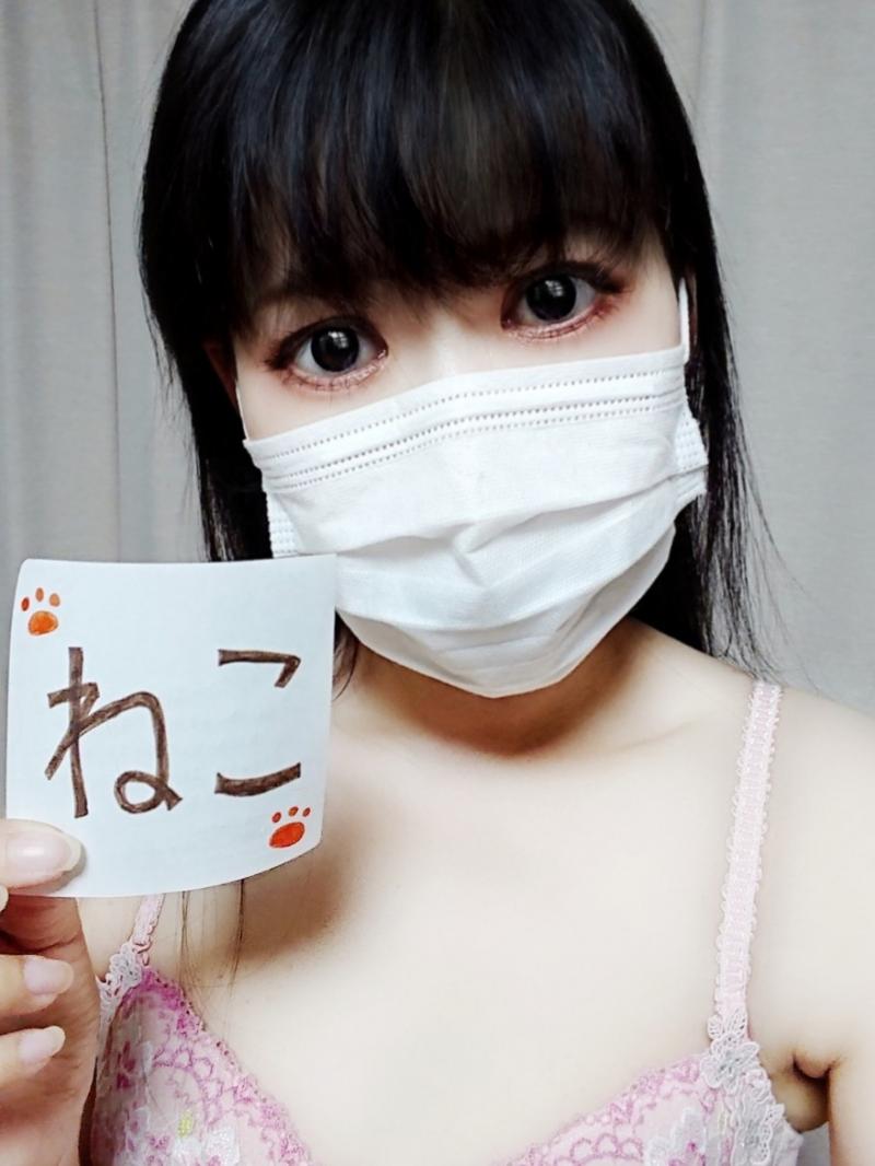 出品者名-写真-1