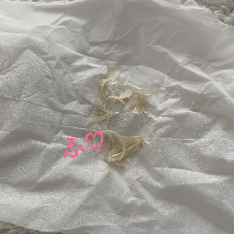 出品者名-写真-1