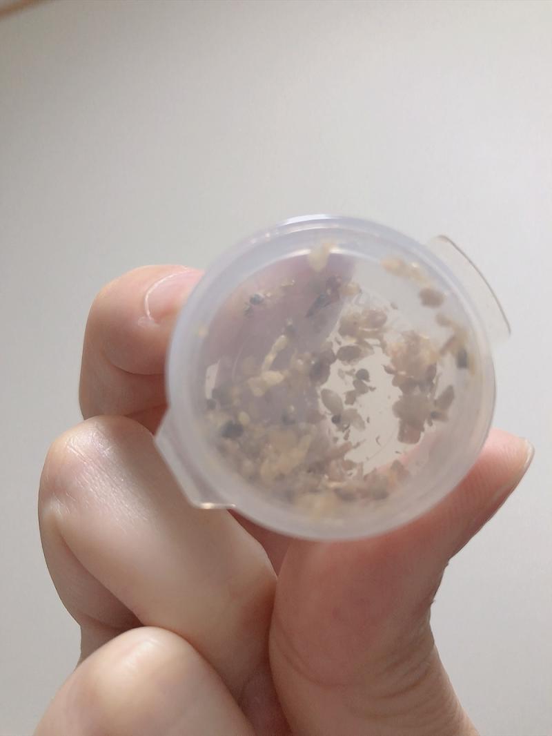 出品者名-写真-1