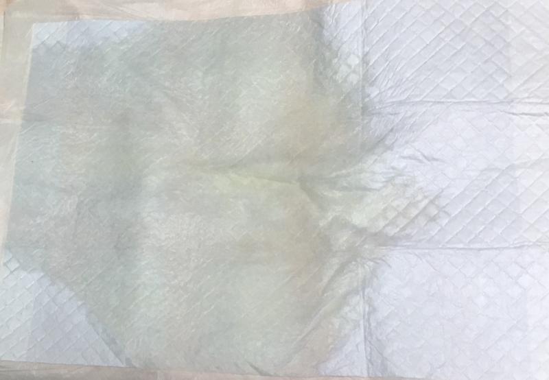 出品者名-写真-1