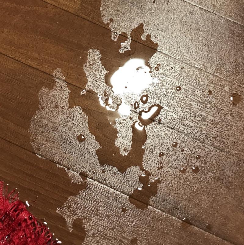 出品者名-写真-1