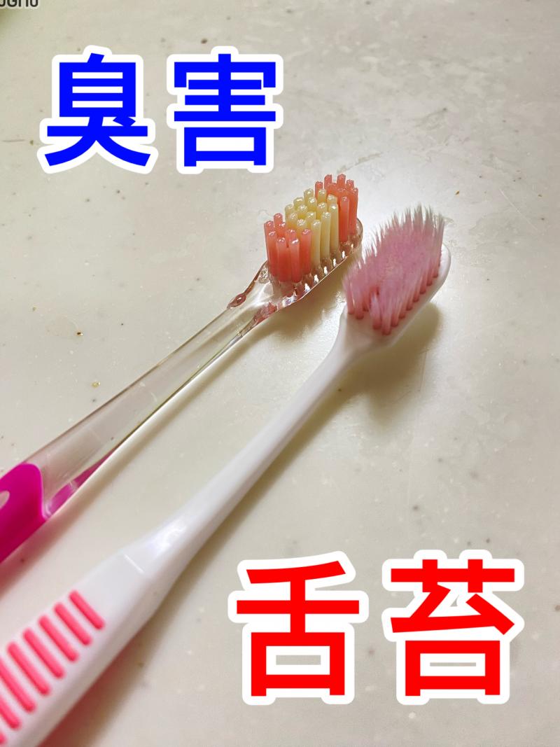 出品者名-写真