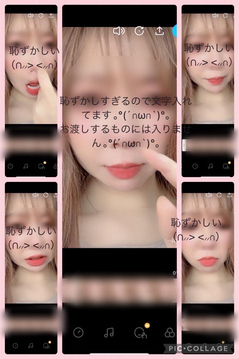 出品者名-写真