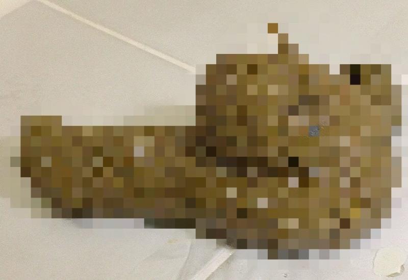 出品者名-写真-1