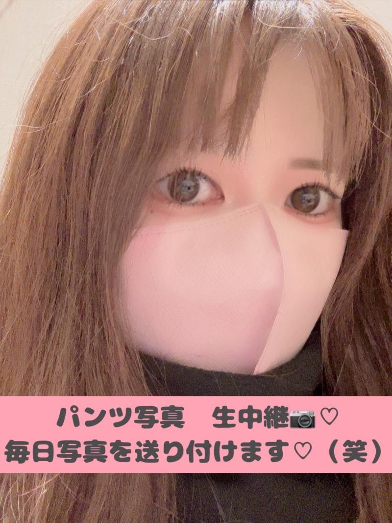 出品者名-写真