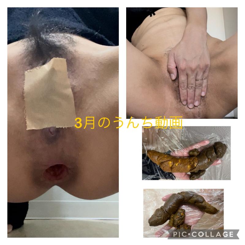 出品者名-写真-1