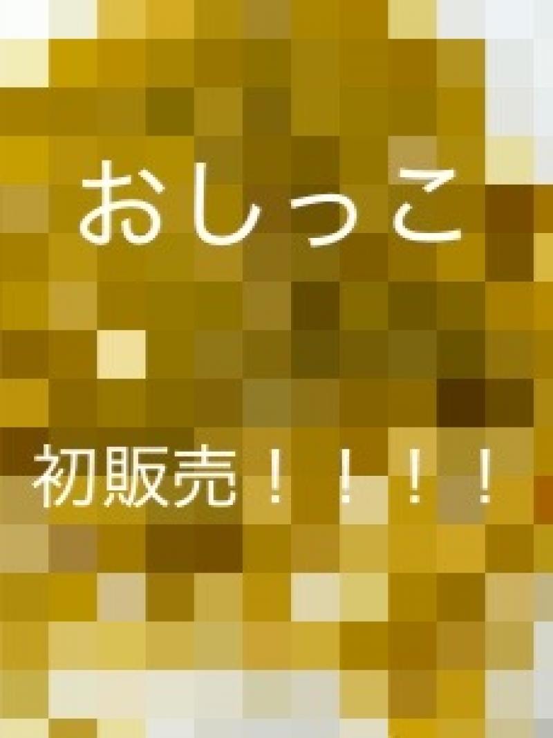 出品者名-写真