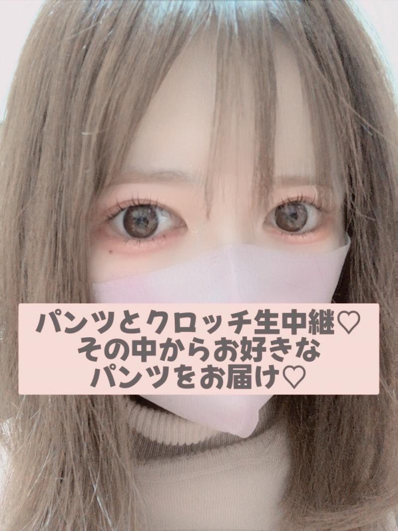 出品者名-写真