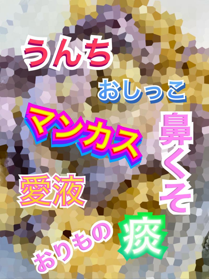 出品者名-写真-1