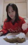 出品者名-写真-1