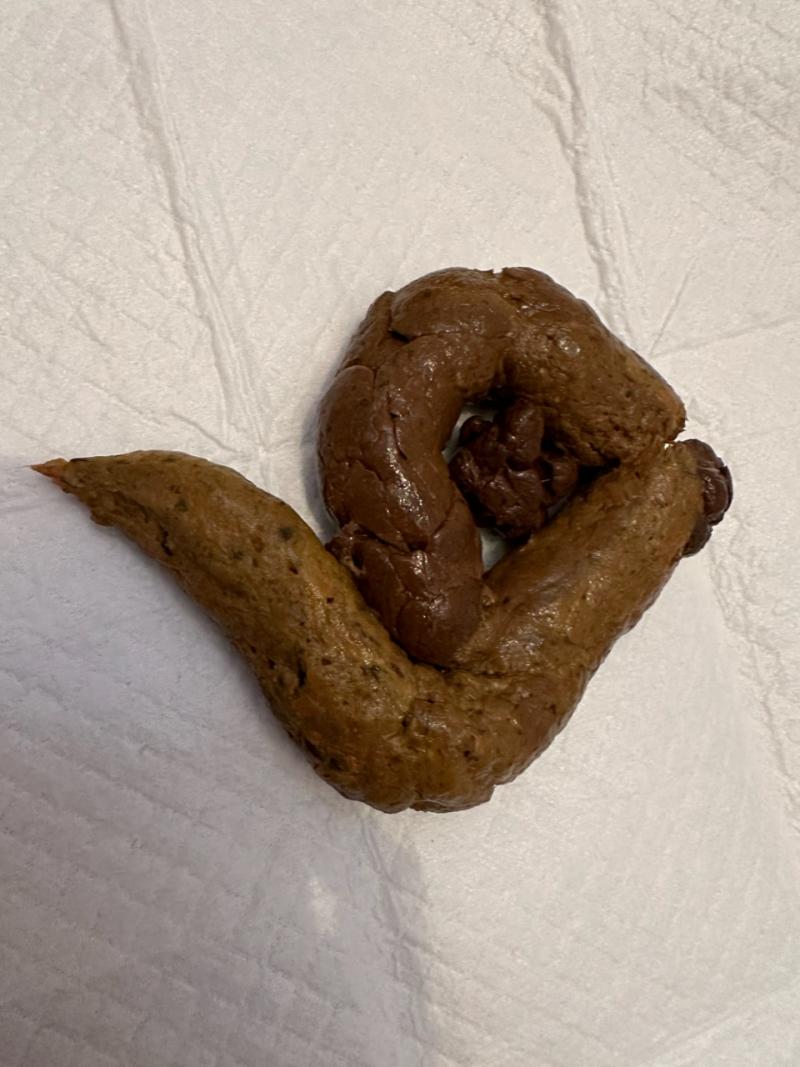 出品者名-写真-1