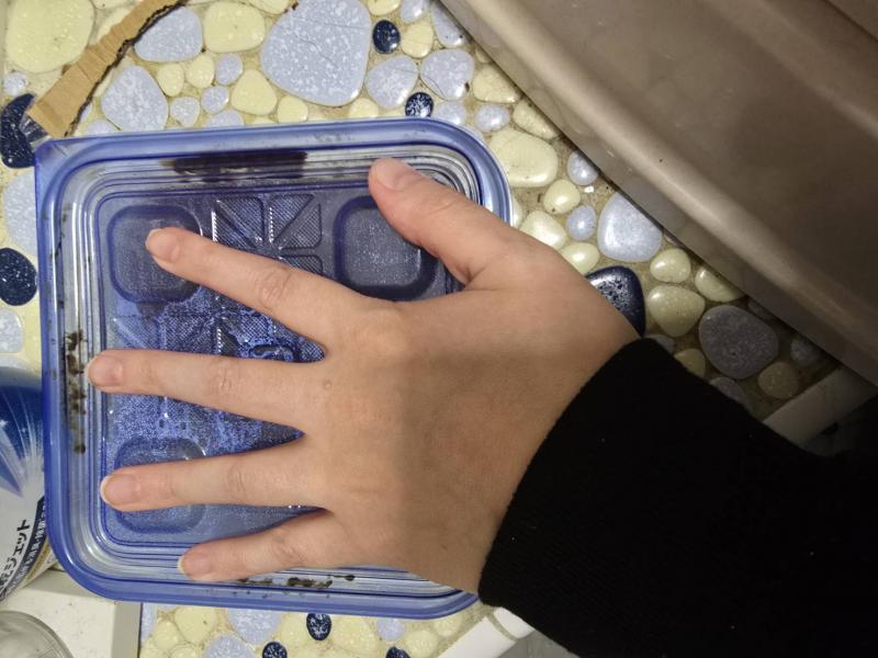 出品者名-写真-1