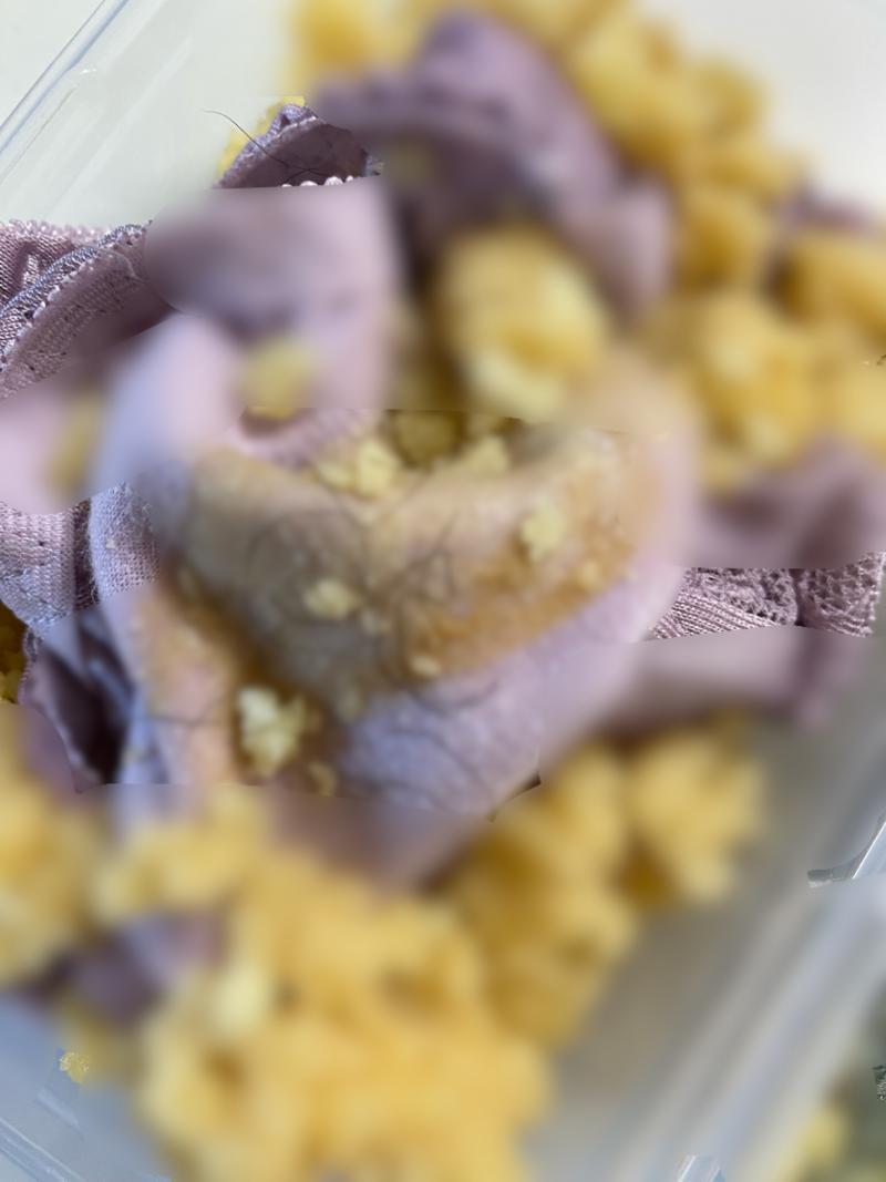 出品者名-写真-1