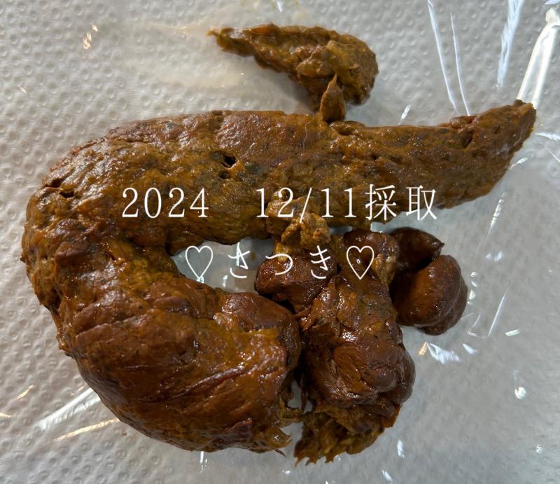 出品者名-写真-1