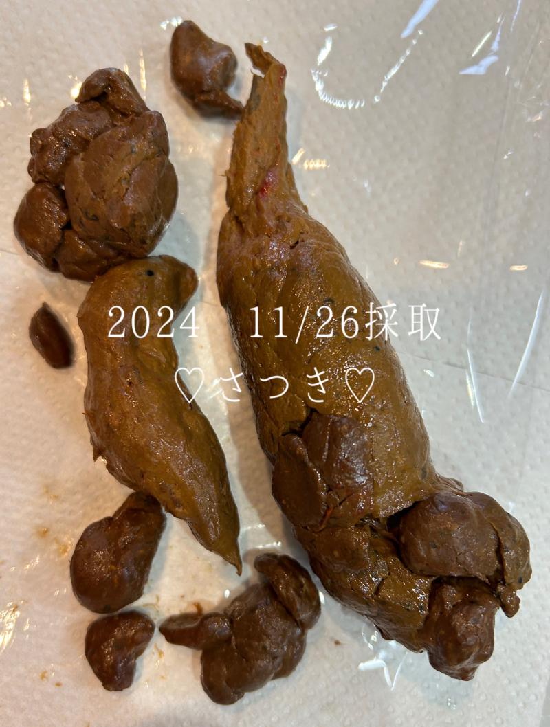 出品者名-写真-1