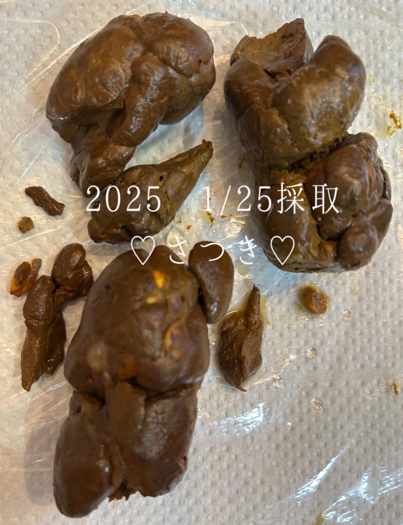 出品者名-写真-1