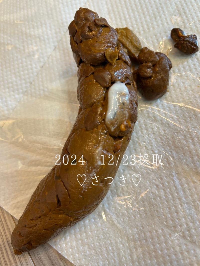 出品者名-写真-1