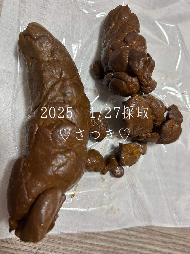 出品者名-写真-1