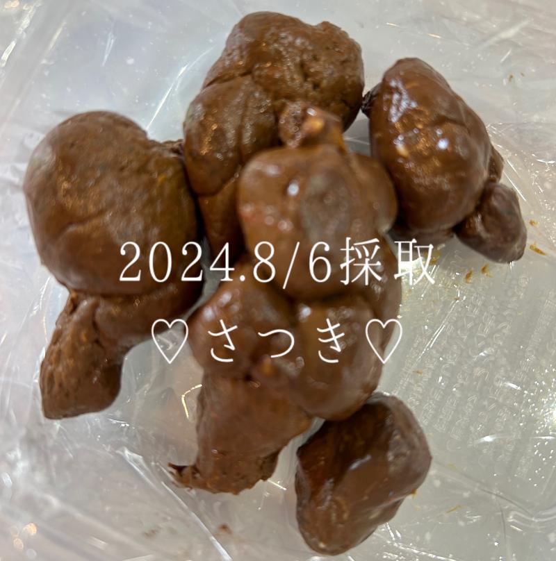 出品者名-写真-1