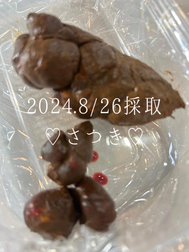 出品者名-写真-1