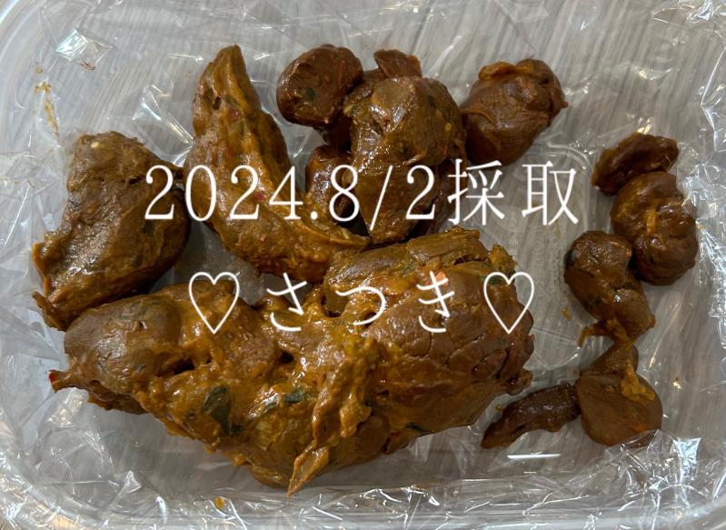出品者名-写真-1