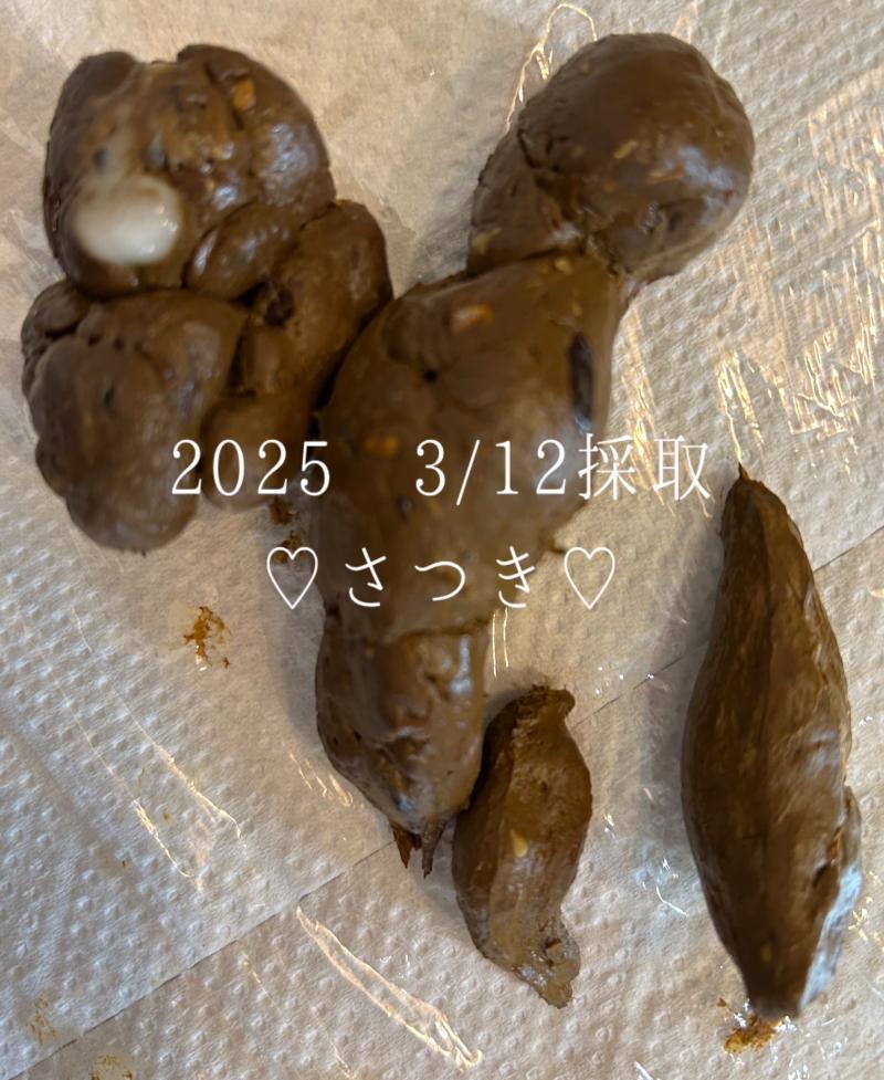 出品者名-写真-1