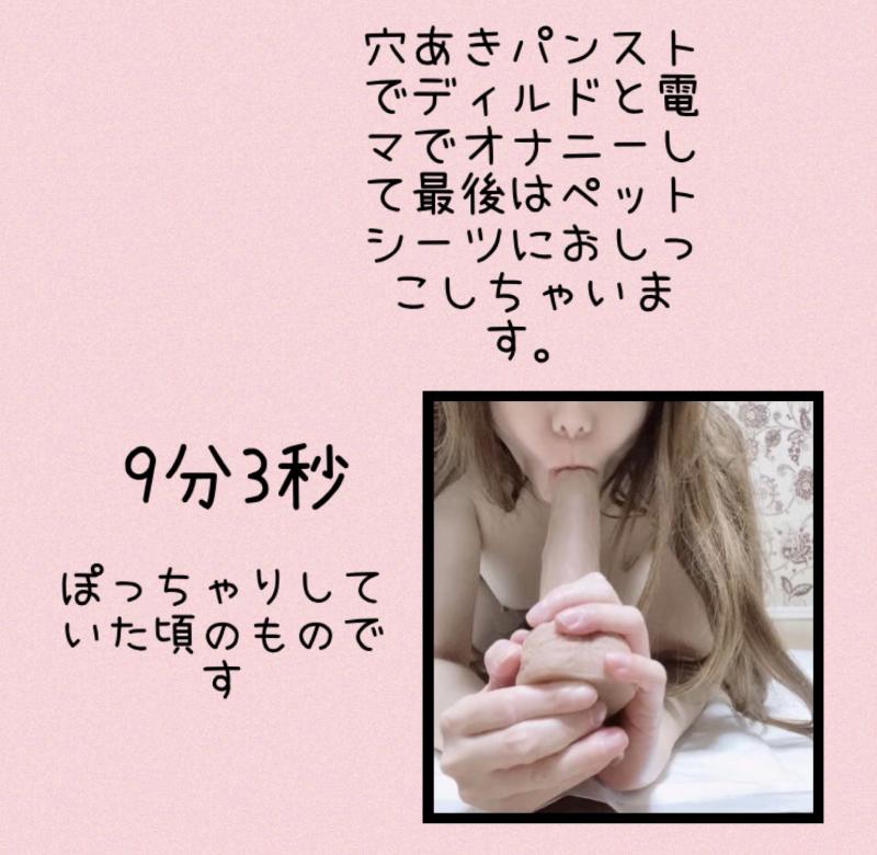 出品者名-写真-1