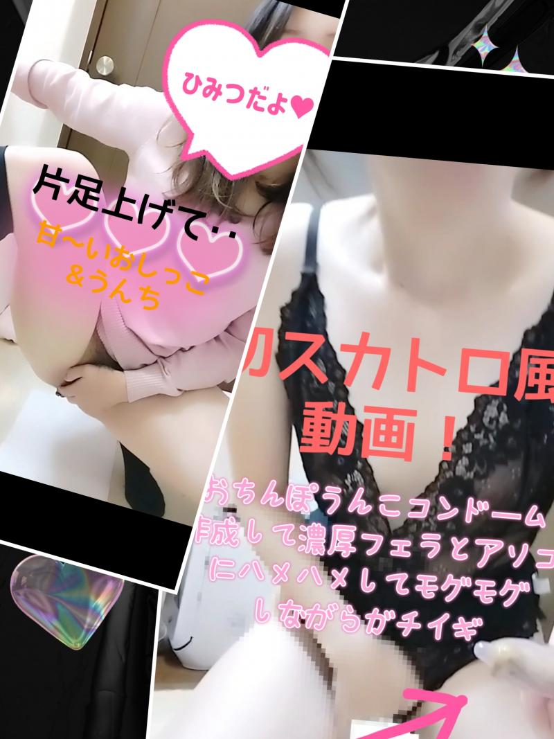 出品者名-写真