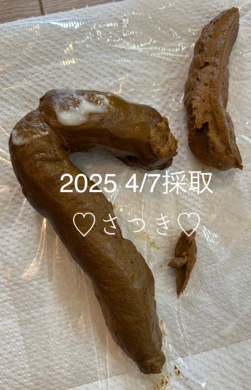 出品者名-写真-1