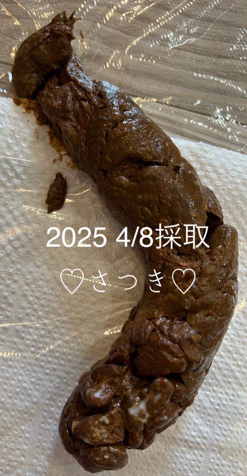 出品者名-写真-1