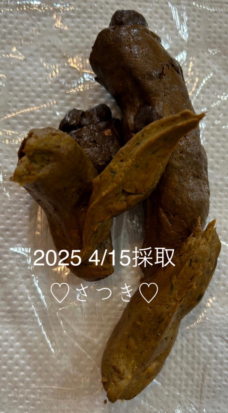 出品者名-写真-1