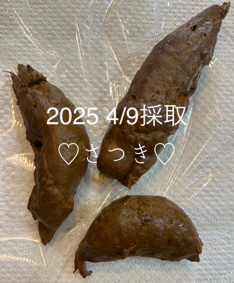 出品者名-写真-1