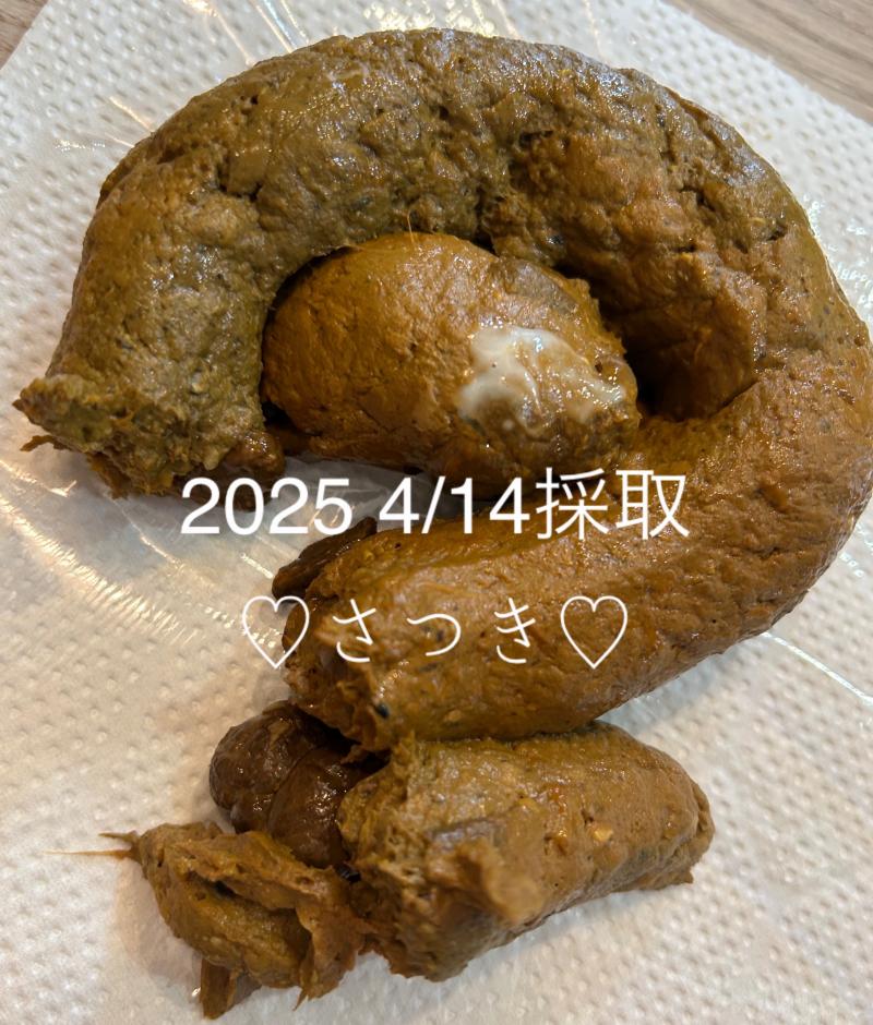出品者名-写真-1