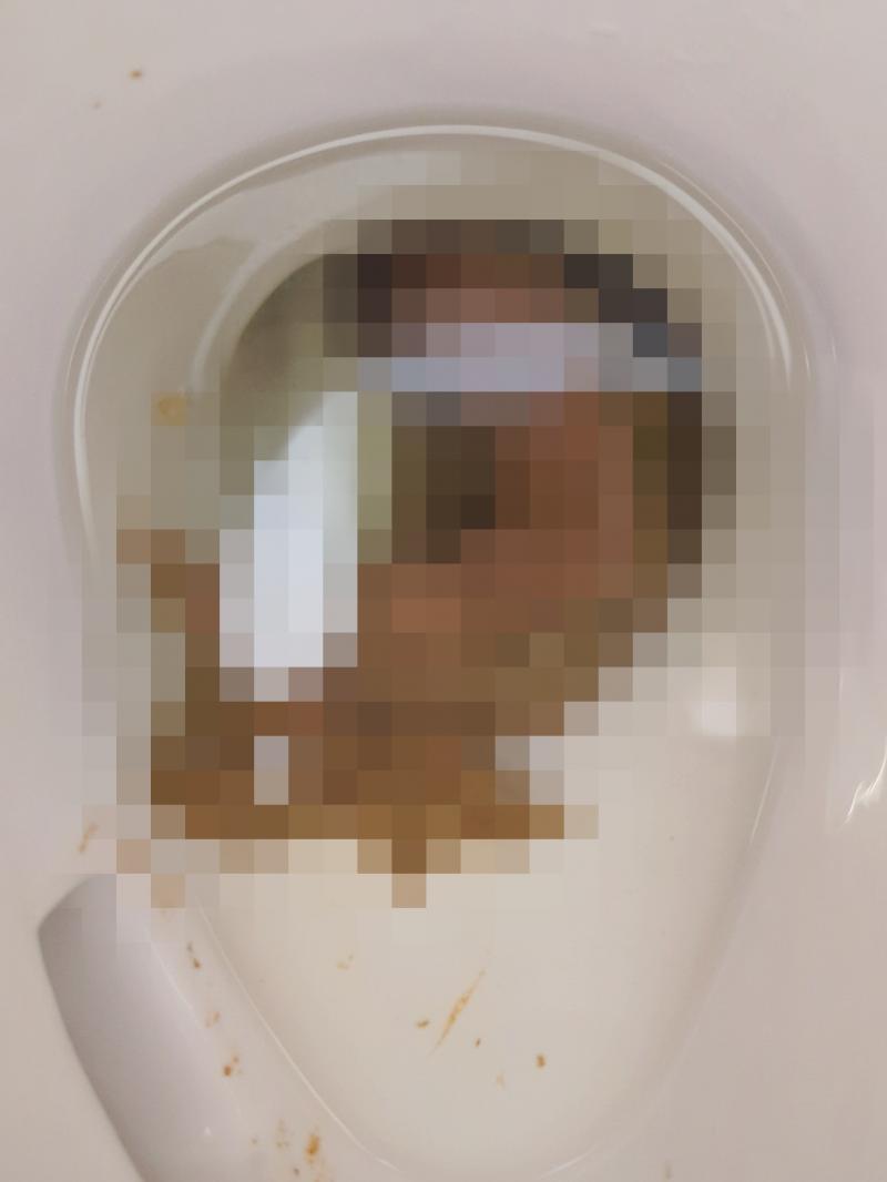 出品者名-写真-1